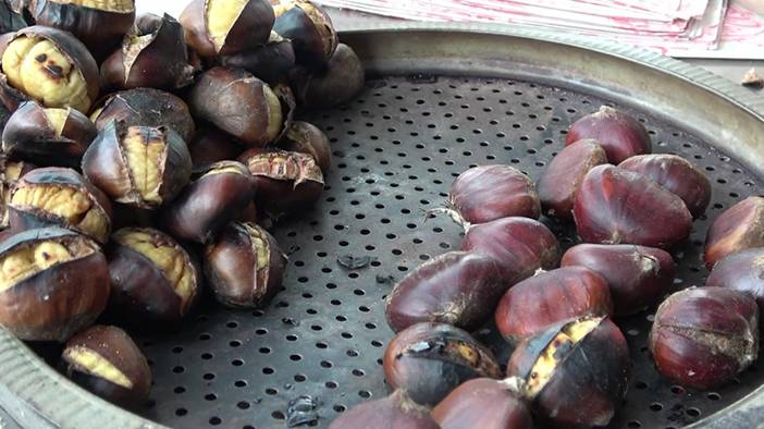 Pişince köpürüyorsa sakın yemeyin! Gerçek kestane nasıl anlaşılır? 1